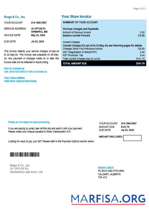 Downloadable Canada Shaw business utility bill template in Word and PDF formats